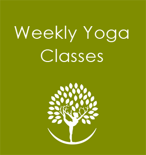 Yoga Classes Seattle
