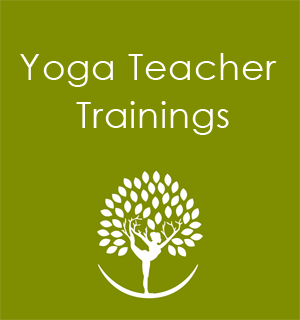 Yoga Teacher Training Seattle